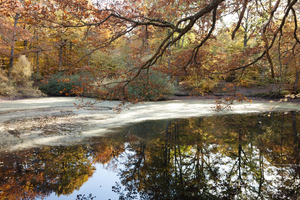 Vidange fosse septique Rambouillet